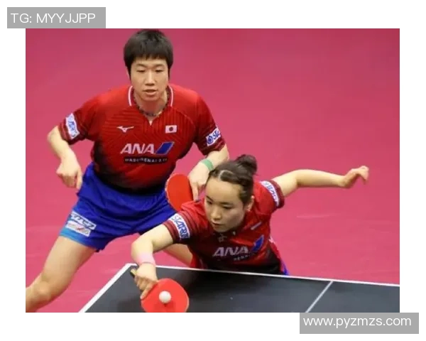 西安乒乓球队的反击策略与深度分析探秘之旅